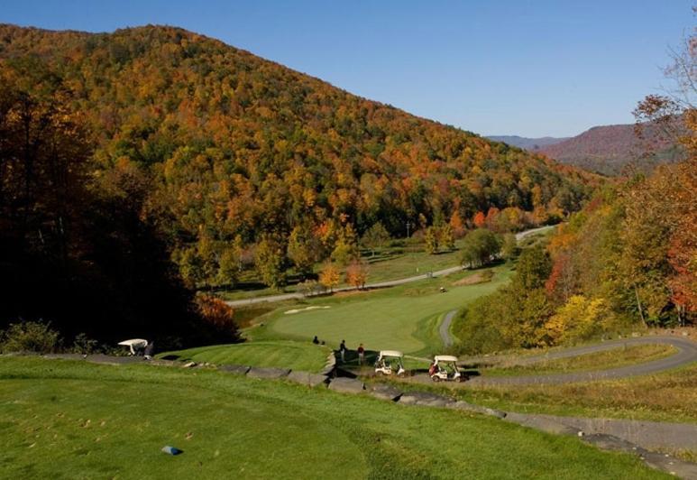 Allegheny Springs سنوشو المظهر الخارجي الصورة