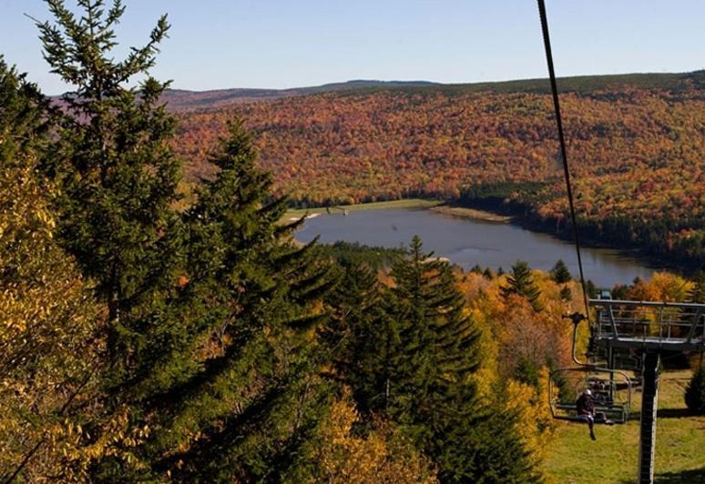 Allegheny Springs سنوشو المظهر الخارجي الصورة