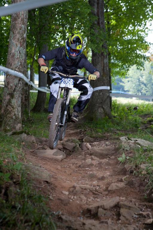 Allegheny Springs سنوشو المظهر الخارجي الصورة
